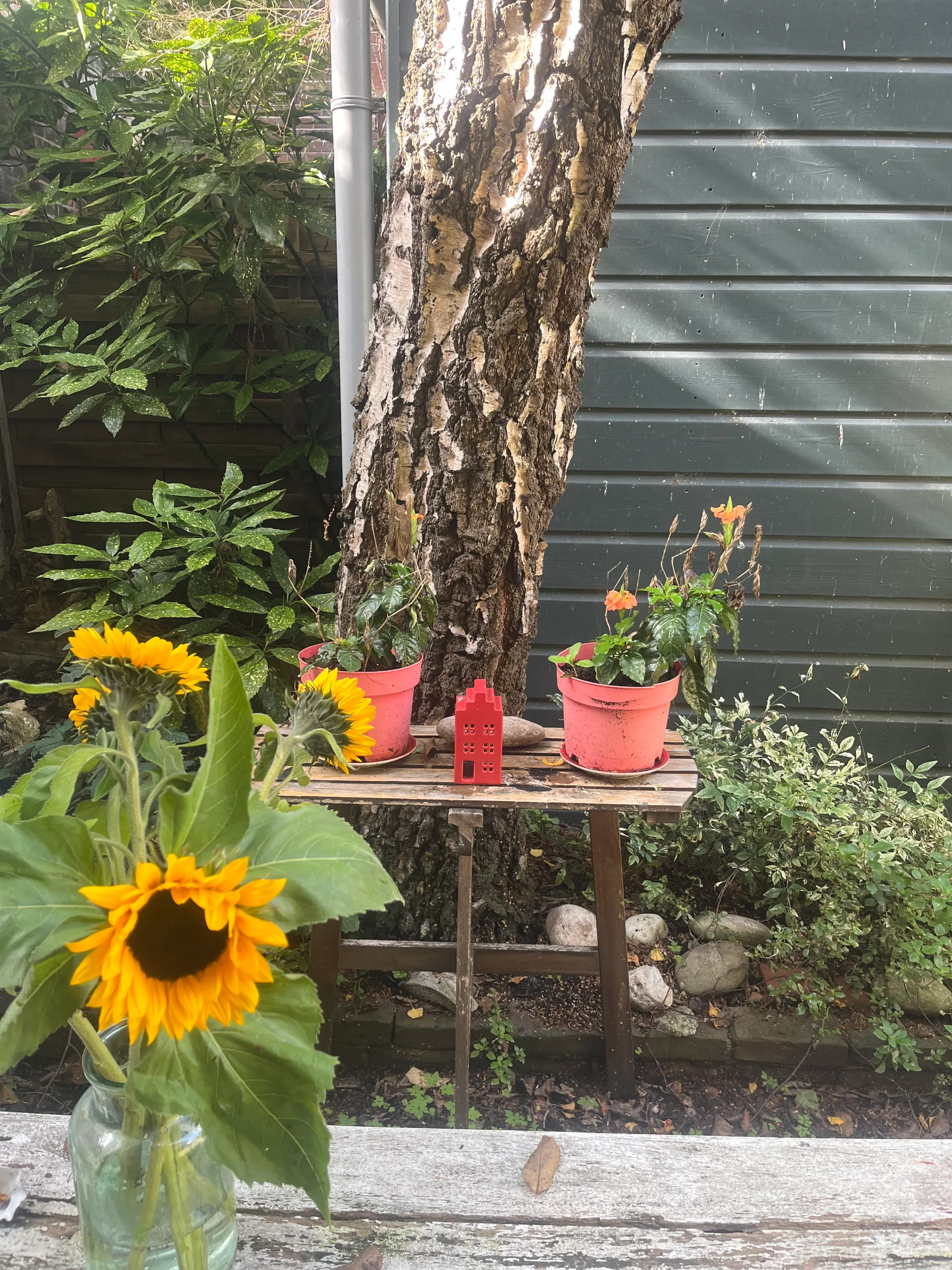 Benedenruimte met tuin — foto 3
